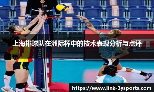 三亿体育APP