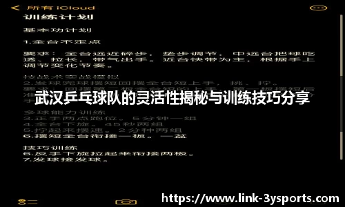 武汉乒乓球队的灵活性揭秘与训练技巧分享