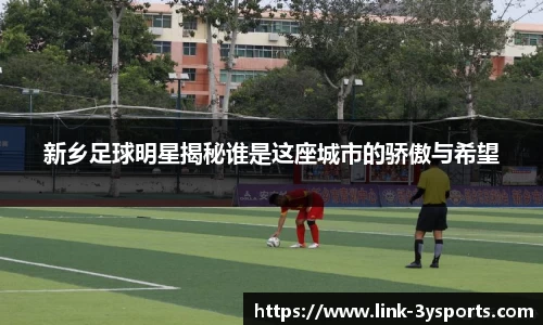 新乡足球明星揭秘谁是这座城市的骄傲与希望